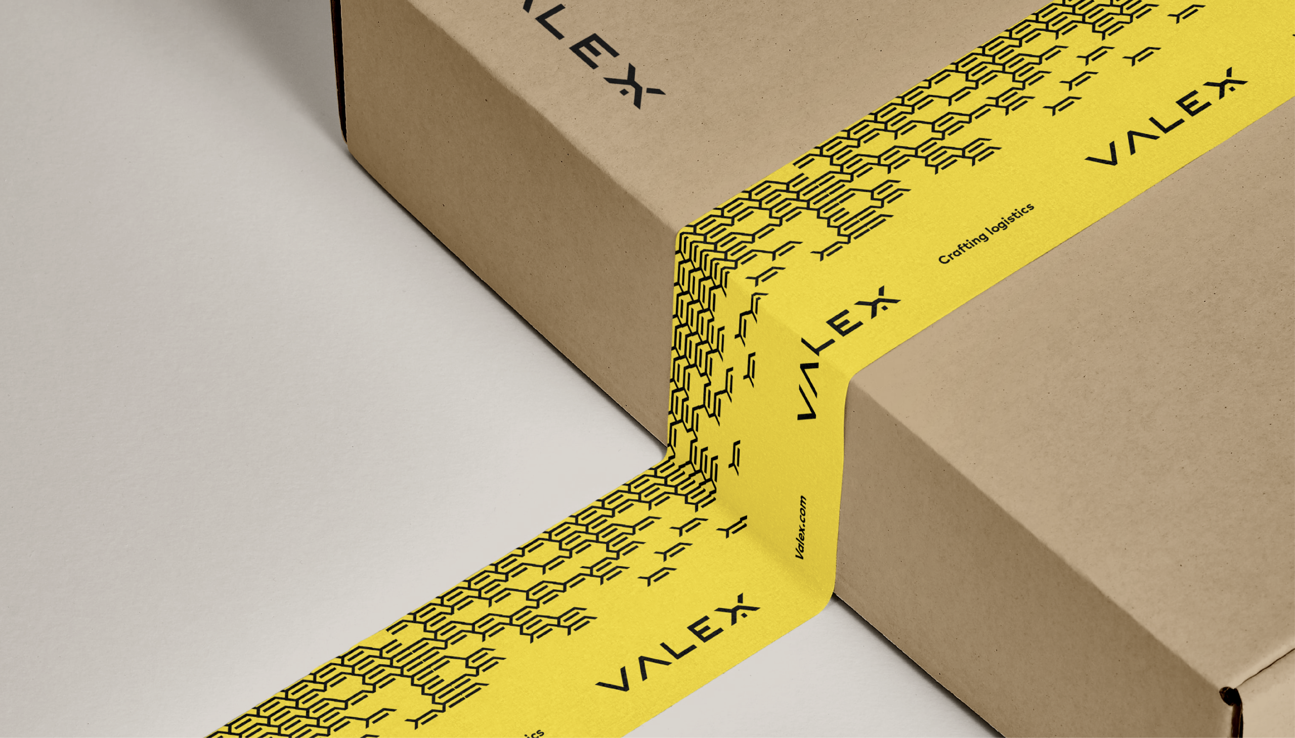 WO-000_TC_Behance_Branding-Valex_V29DIC22-10 WO-000_TC_Behance_Branding-Valex_V29DIC22-10