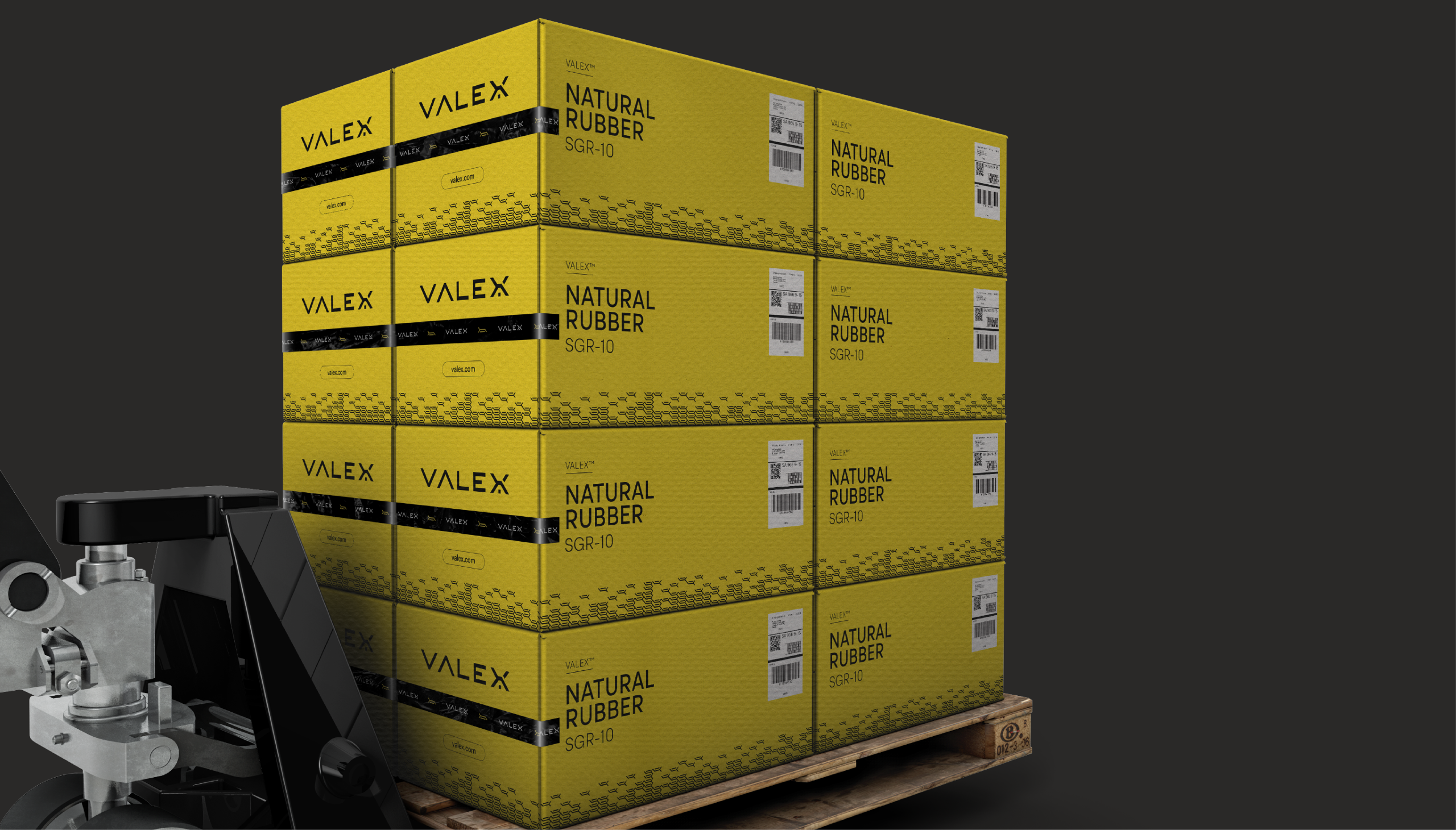 WO-000_TC_Behance_Branding-Valex_V29DIC22-12 WO-000_TC_Behance_Branding-Valex_V29DIC22-12