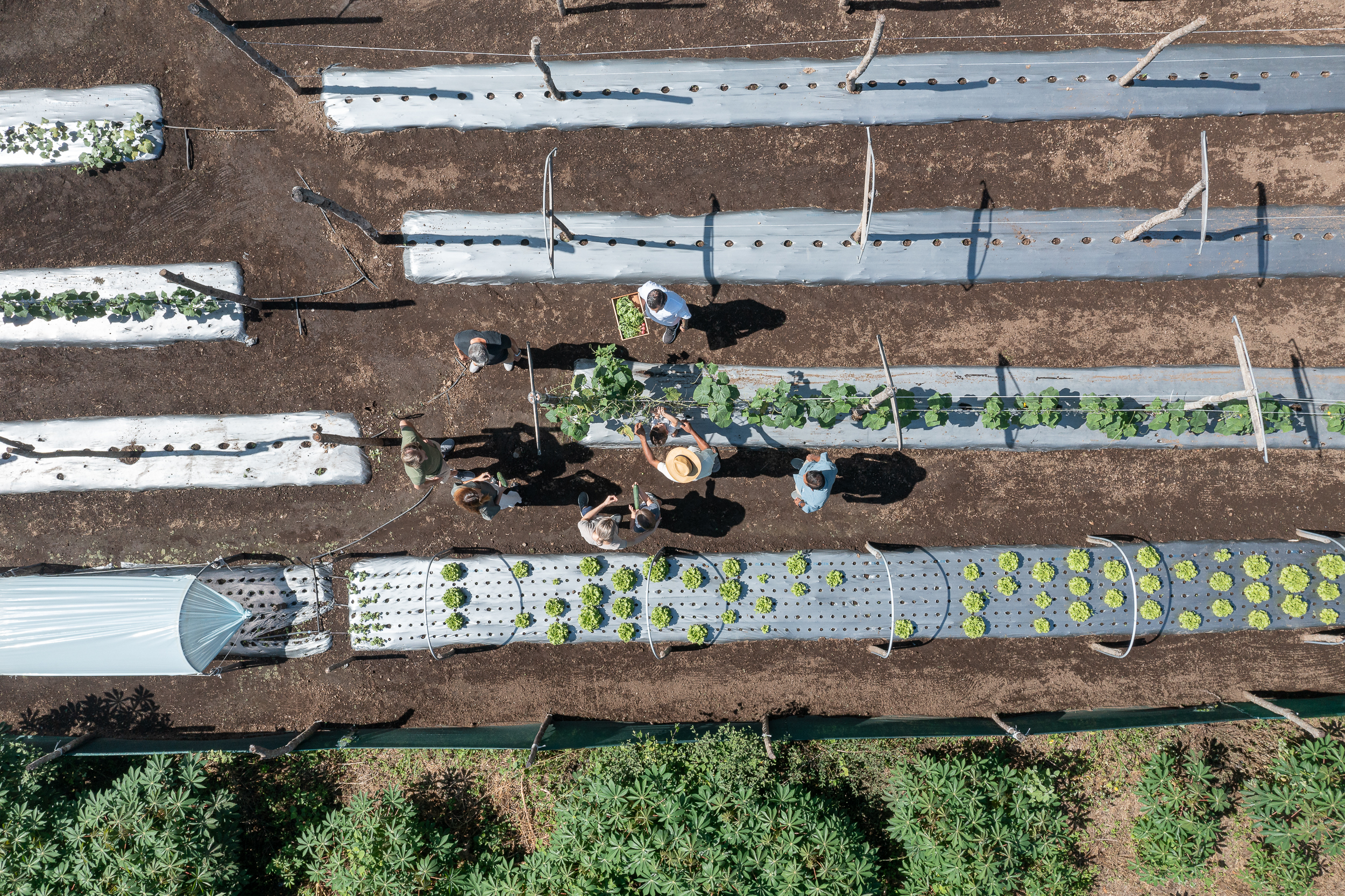 DJI_0989 DJI_0989