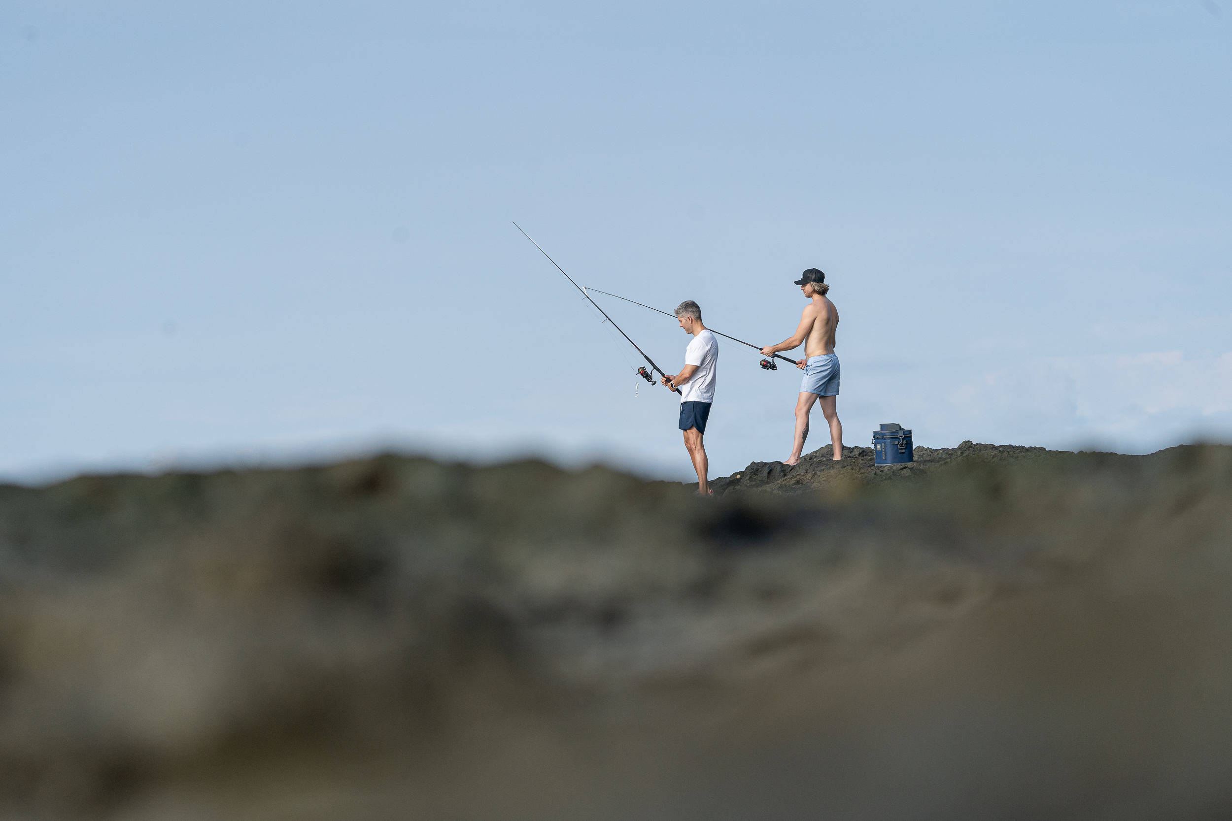 TC_02599 TC_02599